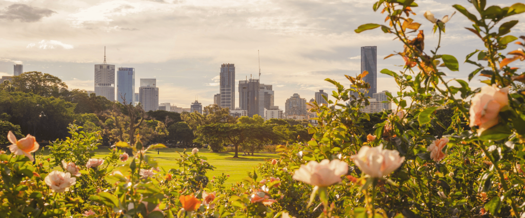 Rose Garden at New farm Park Brisbane