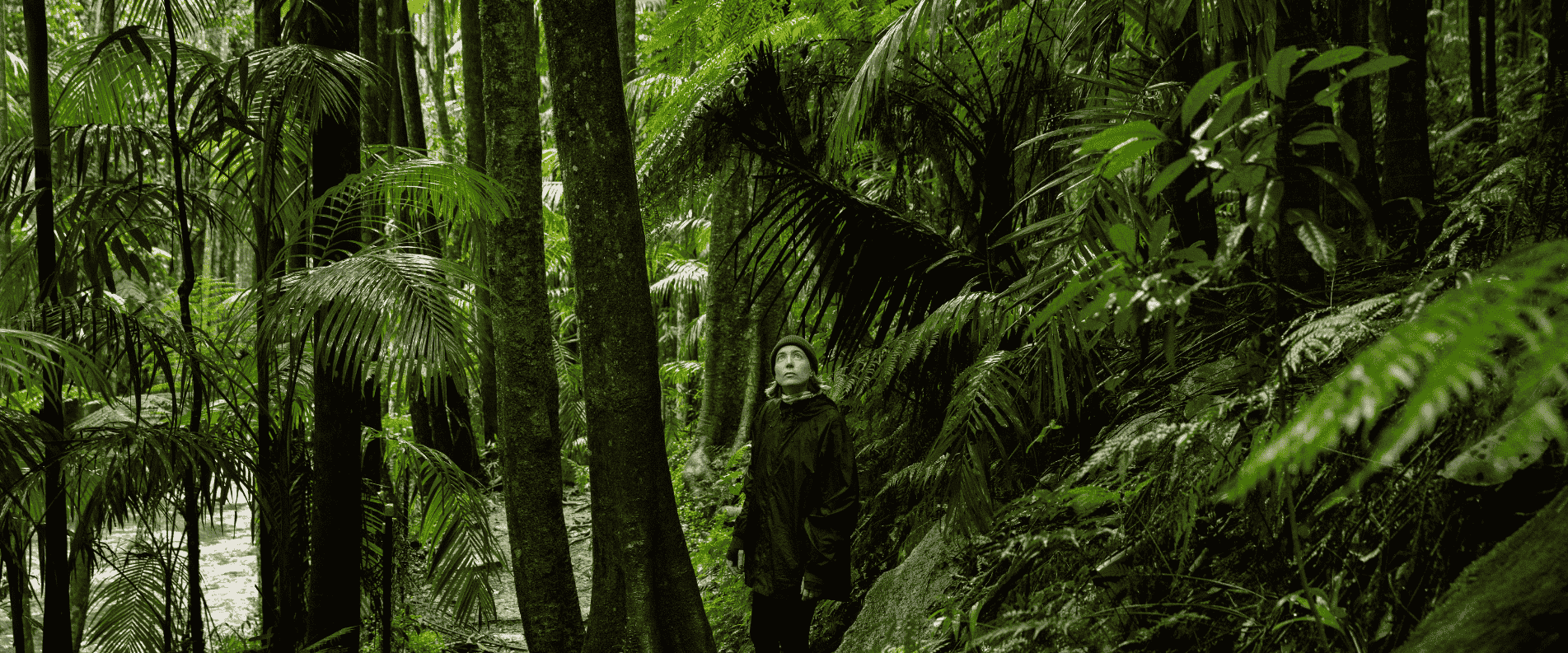 Woman in forest