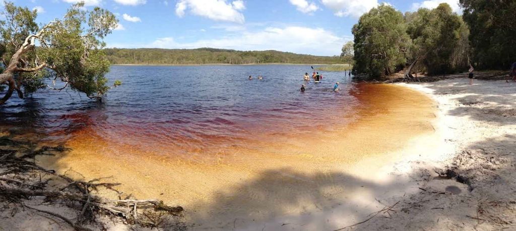 Brown Lake