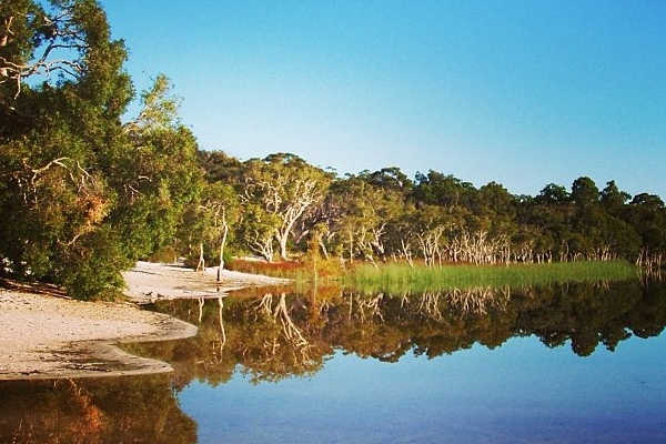 Brown Lake